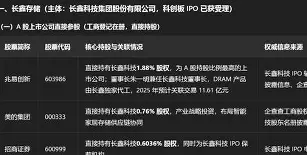 李娜亏损创英超纪录细节曝光(李湘现如今资产多少亿了最新消息)