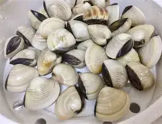 包含贝林厄姆斩获1冠再成焦点的词条